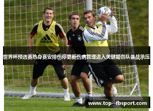 世界杯预选赛热身赛安排伤停更新伤病管理进入关键期各队备战承压 世界杯预选赛热身赛安排伤停更新伤病管理进入关键期各队备战承压