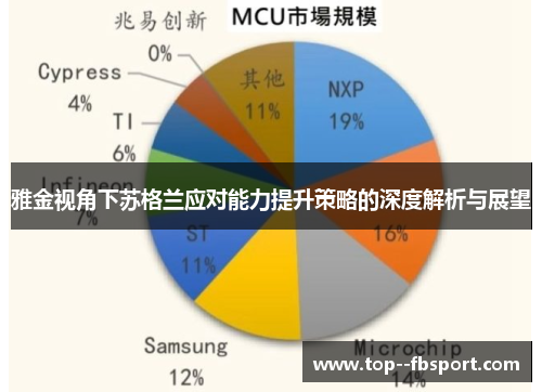 雅金视角下苏格兰应对能力提升策略的深度解析与展望