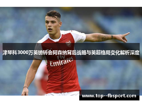 津琴科3000万英镑转会阿森纳背后战略与英超格局变化解析深度